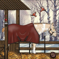 Horse Color:White Spotted Smoky Black Pearl