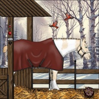 Horse Color:White Spotted Smoky Black Pearl