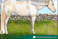 Horse Color:White Spotted Smoky Black Pearl 