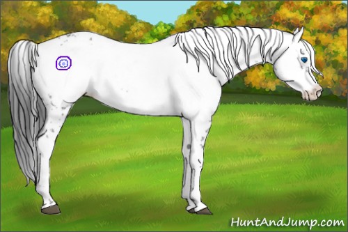 Horse Color:Black Frame 
