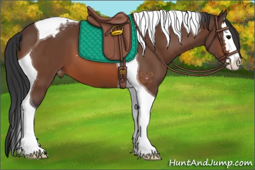 Horse Color:Bay Splash Tobiano Varnish