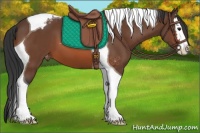 Horse Color:Bay Splash Tobiano Varnish 