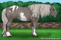 Horse Color:White Spotted Silver Black Varnish Rabicano