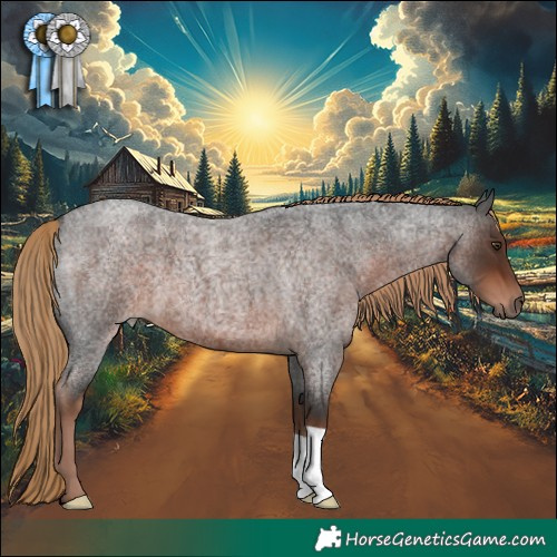Horse Color:Liver Red Roan 