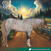 Horse Color:Liver Red Roan 