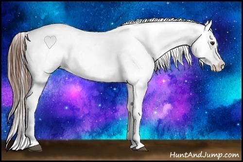 Horse Color:Red Roan Appaloosa 