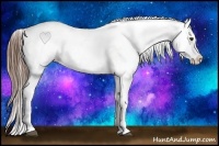 Horse Color:Red Roan Appaloosa 