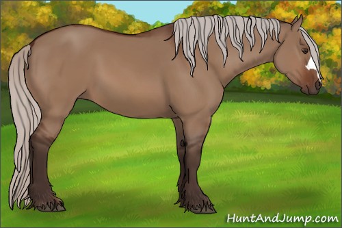 Horse Color:Silver Brown Dun 