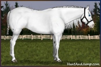 Horse Color:Liver Chestnut Frame 