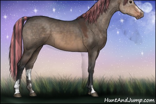 Horse Color:Painted Brown Dun Sabino 