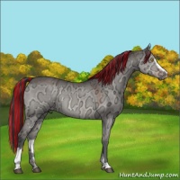 Horse Color:Painted Brown Ice Dun Sabino 