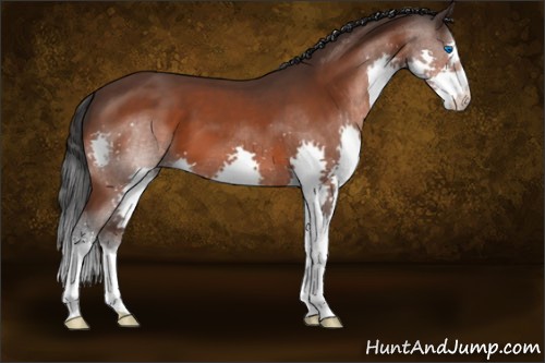 Horse Color:Brown Splash 