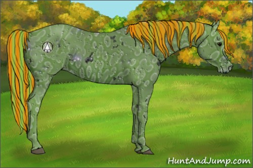 Horse Color:ERROR: UNKNOWN ANOMALY
