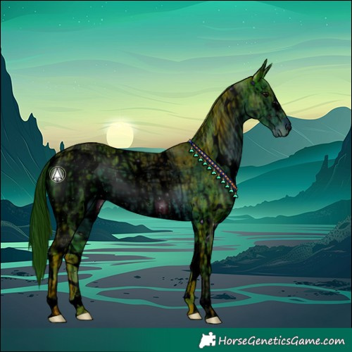 Horse Color:ERROR: UNKNOWN ANOMALY