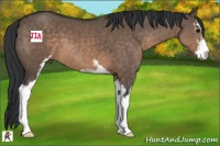 Horse Color:Brown Dun Sabino 