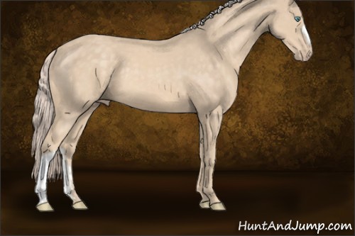 Horse Color:Cremello 