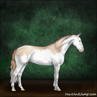 Horse Color:White Spotted Gold Champagne Pearl Splash