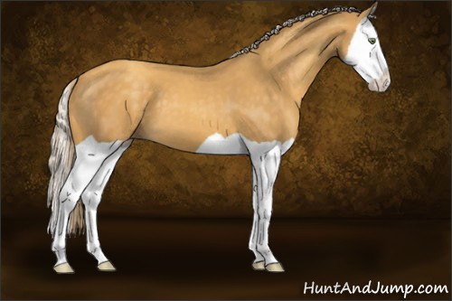Horse Color:Gold Cream Champagne Splash 