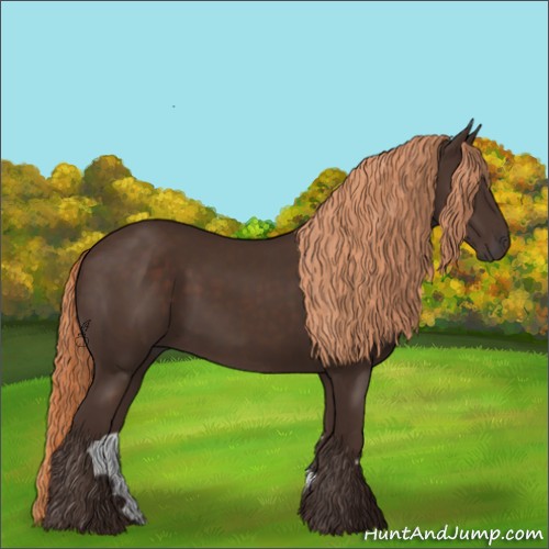 Horse Color:Liver Chestnut 