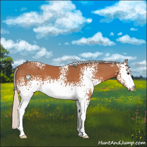 Horse Color:White Spotted Silver Bay
