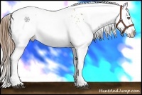 Horse Color:White Spotted Brown Pearl Splash Rabicano