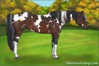Horse Color:White Spotted Brown 