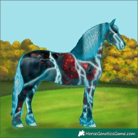 Horse Color:ERROR: UNKNOWN ANOMALY