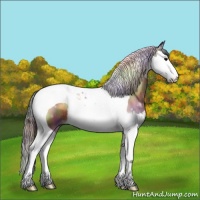 Horse Color:Nacre Brown Onyx Splash Tobiano 