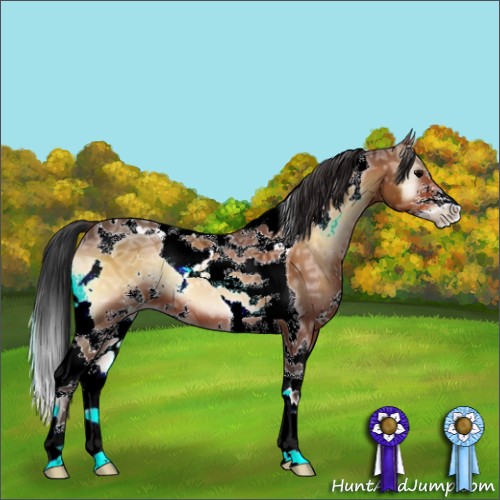 Horse Color:Bay Ice Onyx Sabino Tobiano 