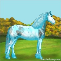 Horse Color:Thunderstruck Blue Onyx Ice Splash Tobiano 
