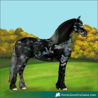 Horse Color:ERROR: UNKNOWN ANOMALY