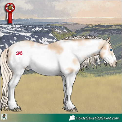 Horse Color:White Spotted Palomino Pearl Sabino Frame 
