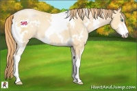Horse Color:White Spotted Smoky Black Pearl Sabino 