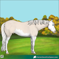 Horse Color:Cremello Splash 