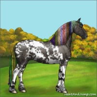 Horse Color:Painted White Spotted Grullo Ice Tobiano 