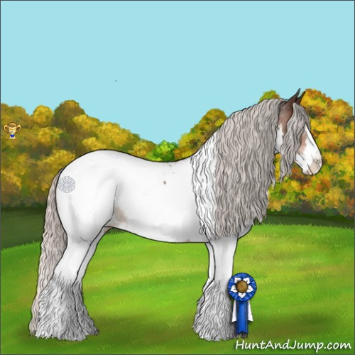 Horse Color:Silver Brown Sabino Splash Tobiano Appaloosa 