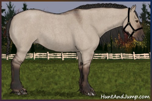 Horse Color:Liver Red Dun Roan 