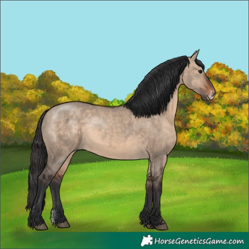 Horse Color:Brown Dun Sabino Rabicano