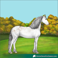 Horse Color:Brown Dun Sabino Splash Rabicano 