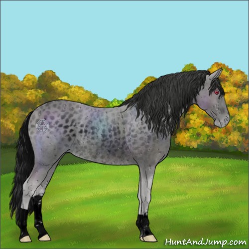 Horse Color:ERROR: UNKNOWN ANOMALY