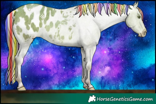 Horse Color:Painted Sable Champagne Roan Blanket Rabicano