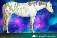 Horse Color:Painted Sable Champagne Roan Blanket Rabicano 