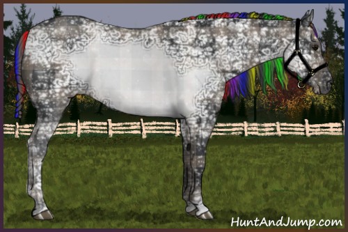 Horse Color:Painted Plaid  Black Ice 