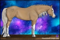 Horse Color:Palomino Splash