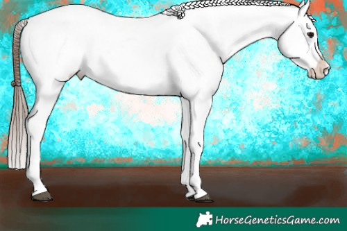 Horse Color:Brown Varnish 
