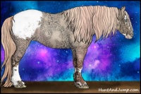 Horse Color:Gold Champagne Ice Roan Dun Splash Snowcap Rabicano 