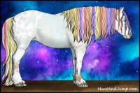 Horse Color:Painted Silver Amber Champagne Ice Roan Dun Splash Appaloosa Rabicano 
