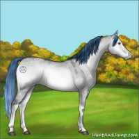 Horse Color:Painted Brown Chinchilla Ice Onyx 