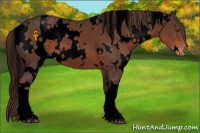 Horse Color:Void White Spotted Liver Chestnut Varnish 
