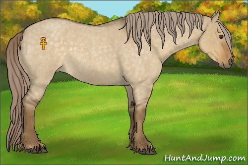 Horse Color:Chocolate Palomino Roan Dun